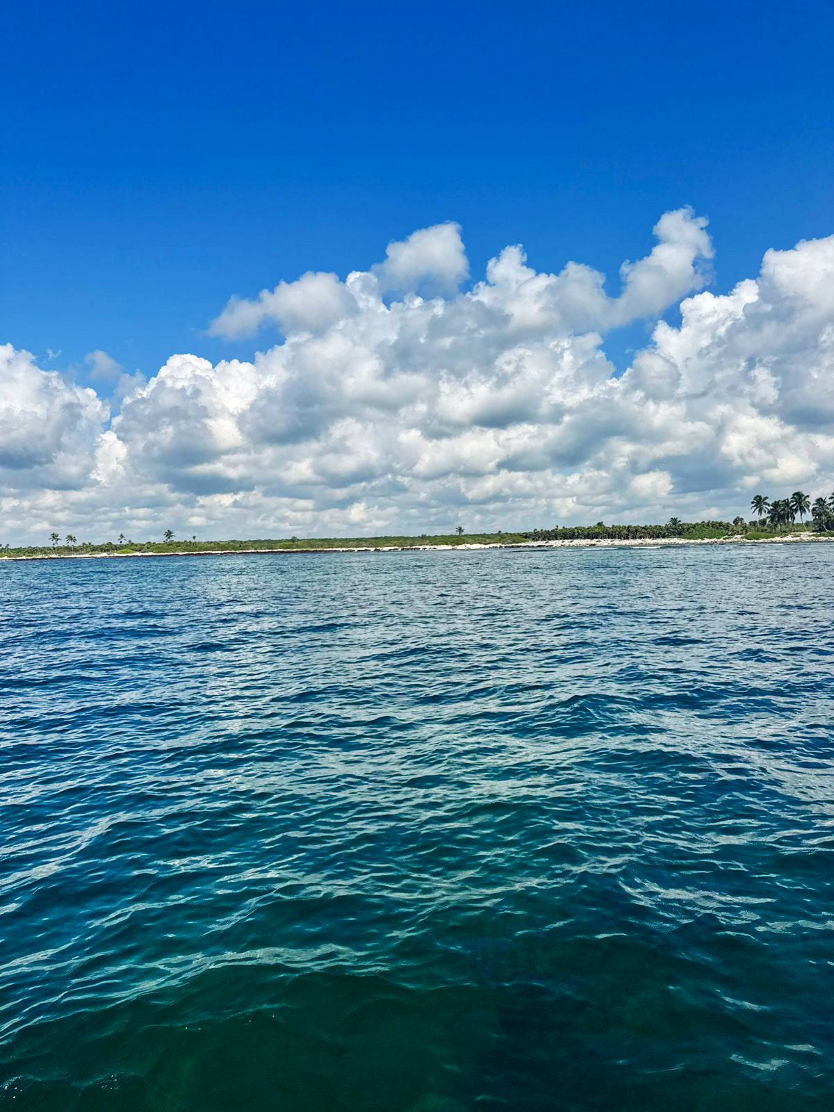 The Akumal shoreline seen from the water: deep blue sea, a low line of jungle and palms, and towering white clouds